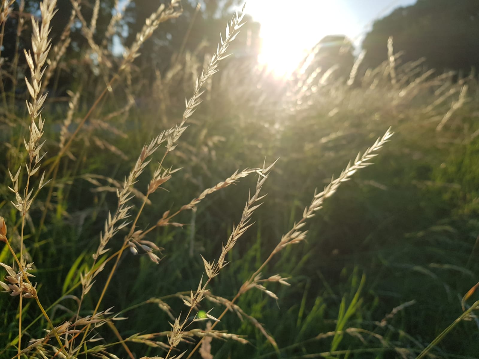 Basteln für den guten Zweck