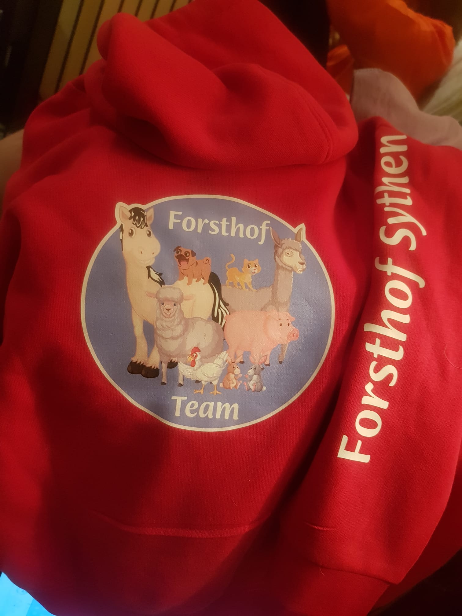 Forsthofhoodies