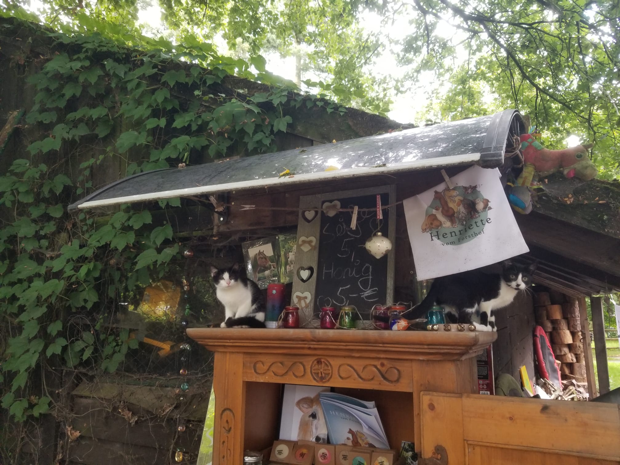 Diesel und Pünktchen