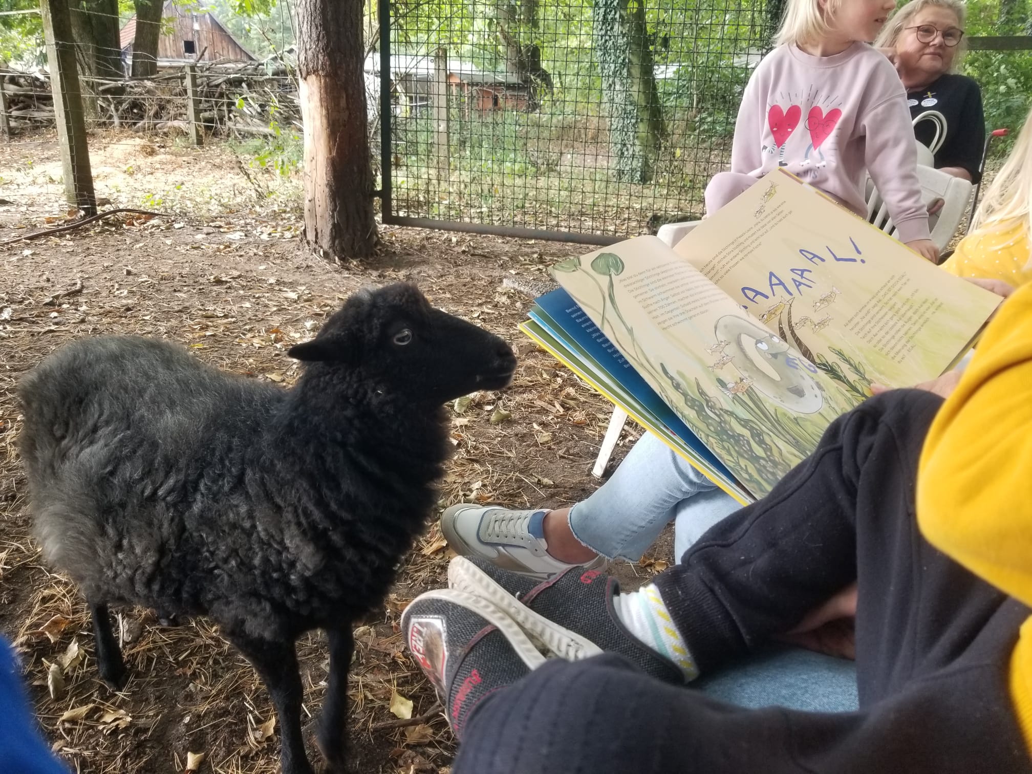 Lesen erweitert den Horizont