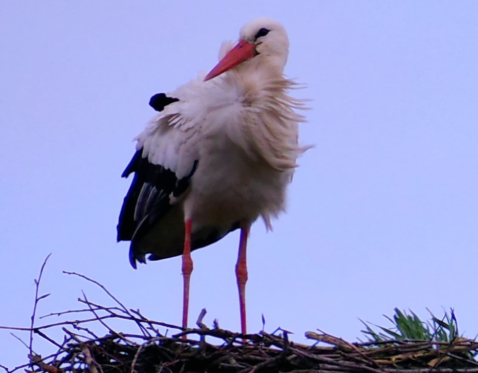 Herzlich willkommen!