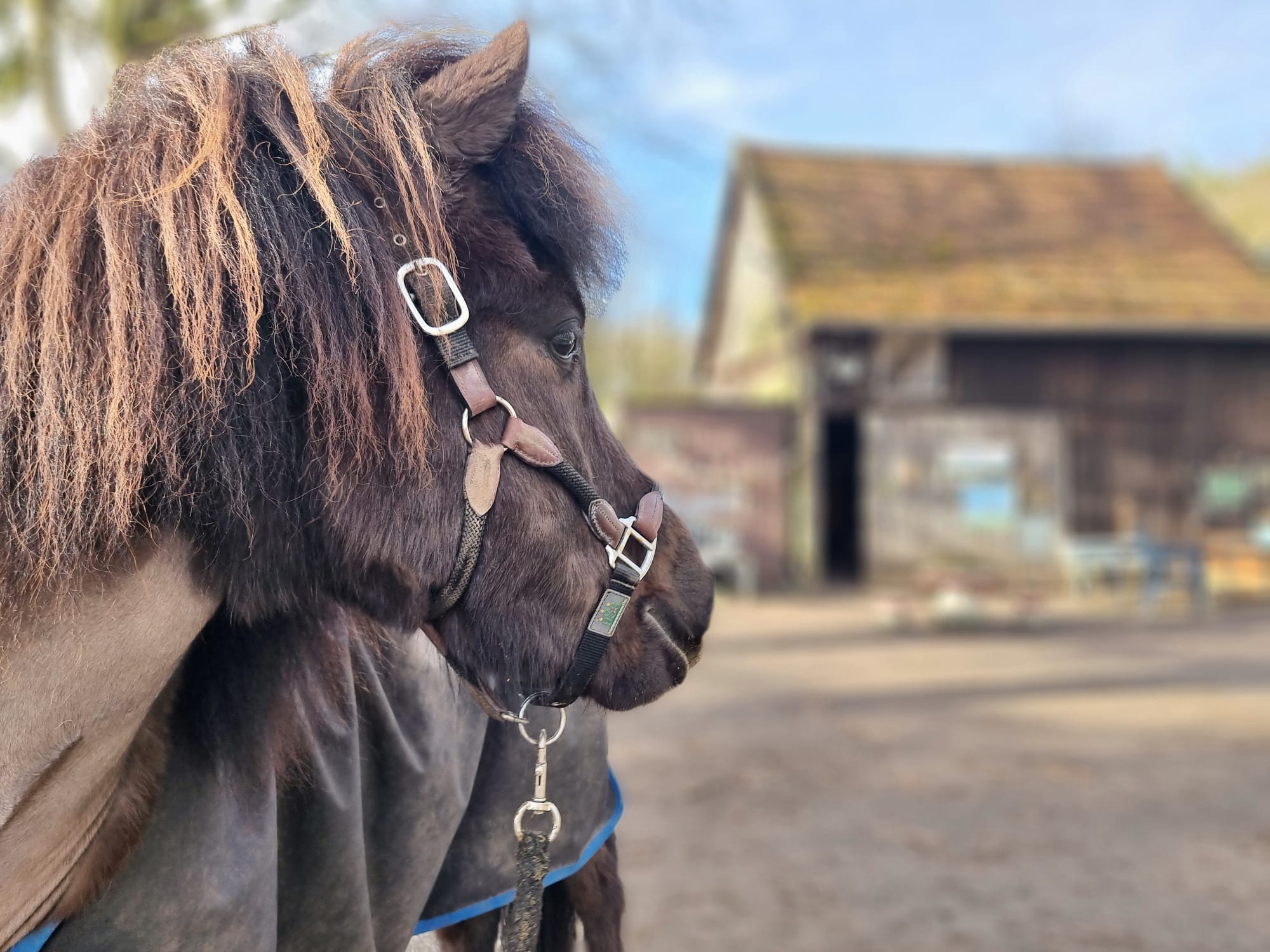 Herzlich willkommen Aki!