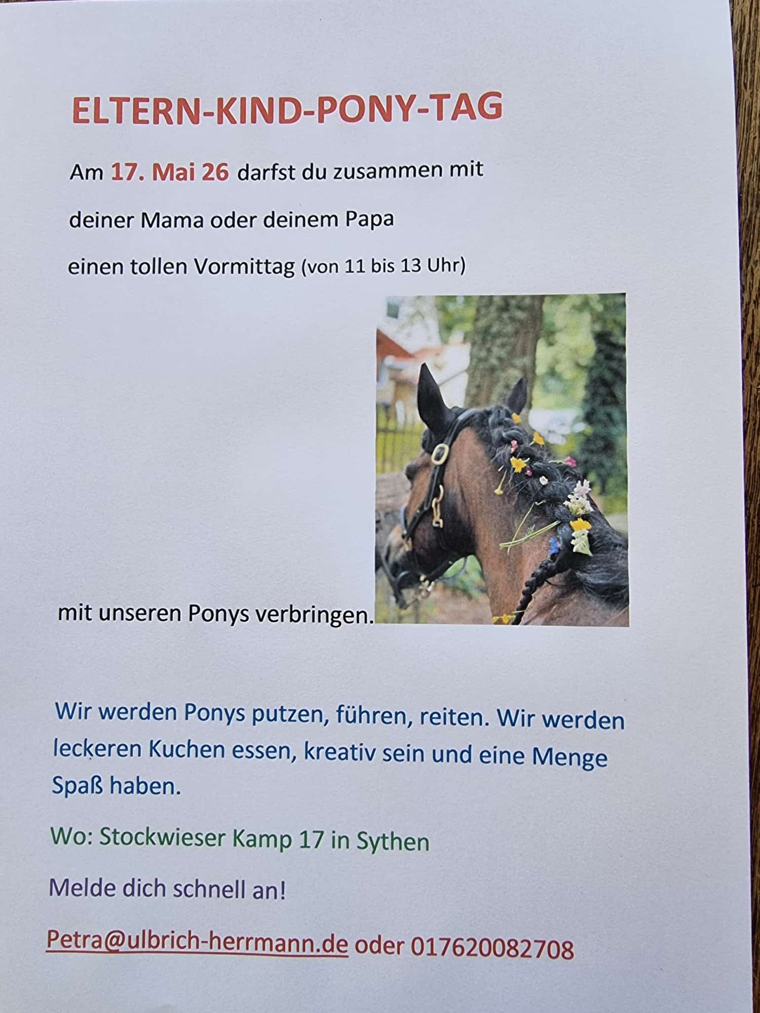 Eltern-Kind-Pony-Zeit