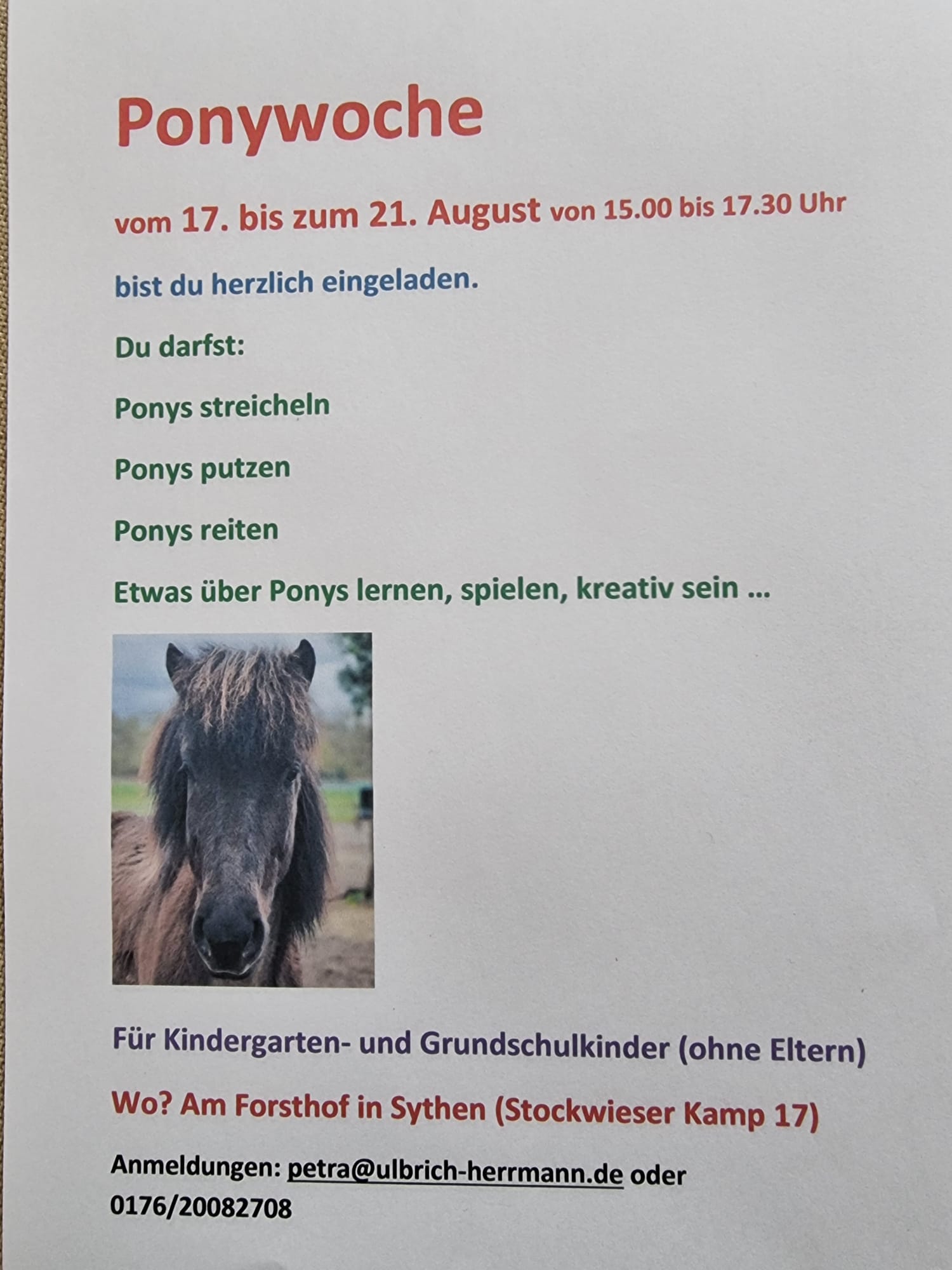Ponywoche