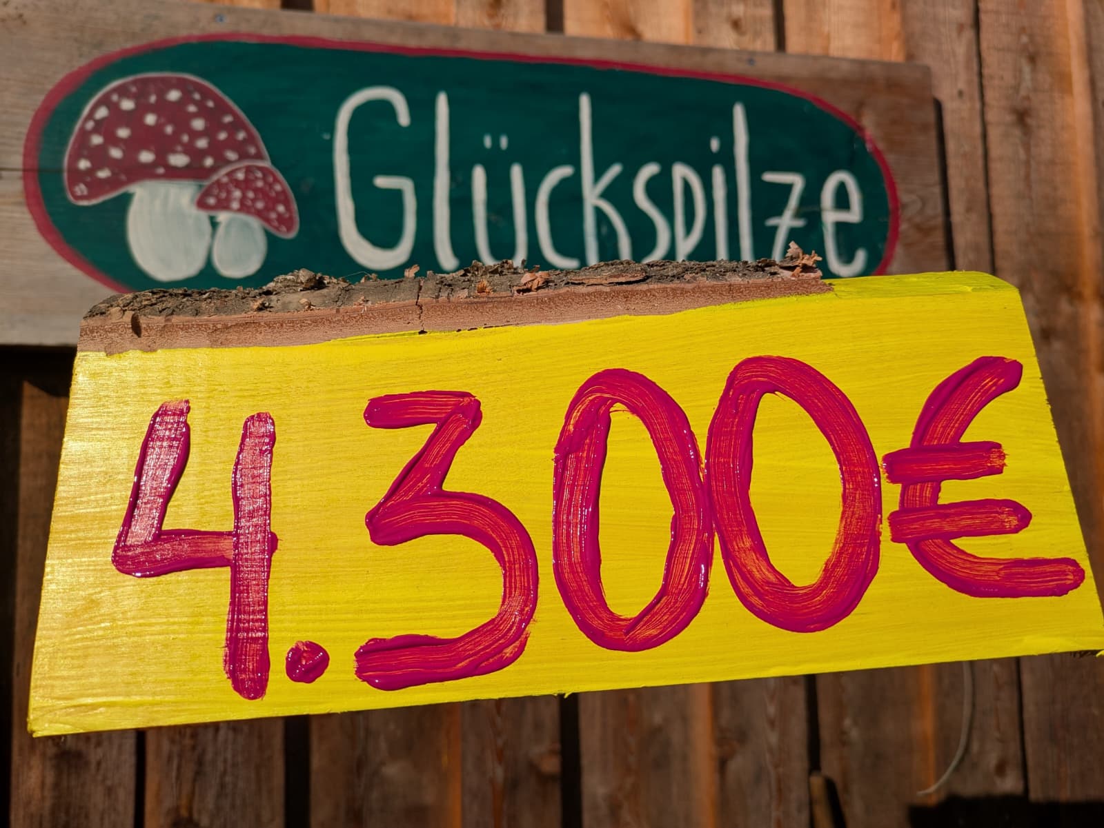 Sponsorenlauf der Glückspilze auf dem Forsthof