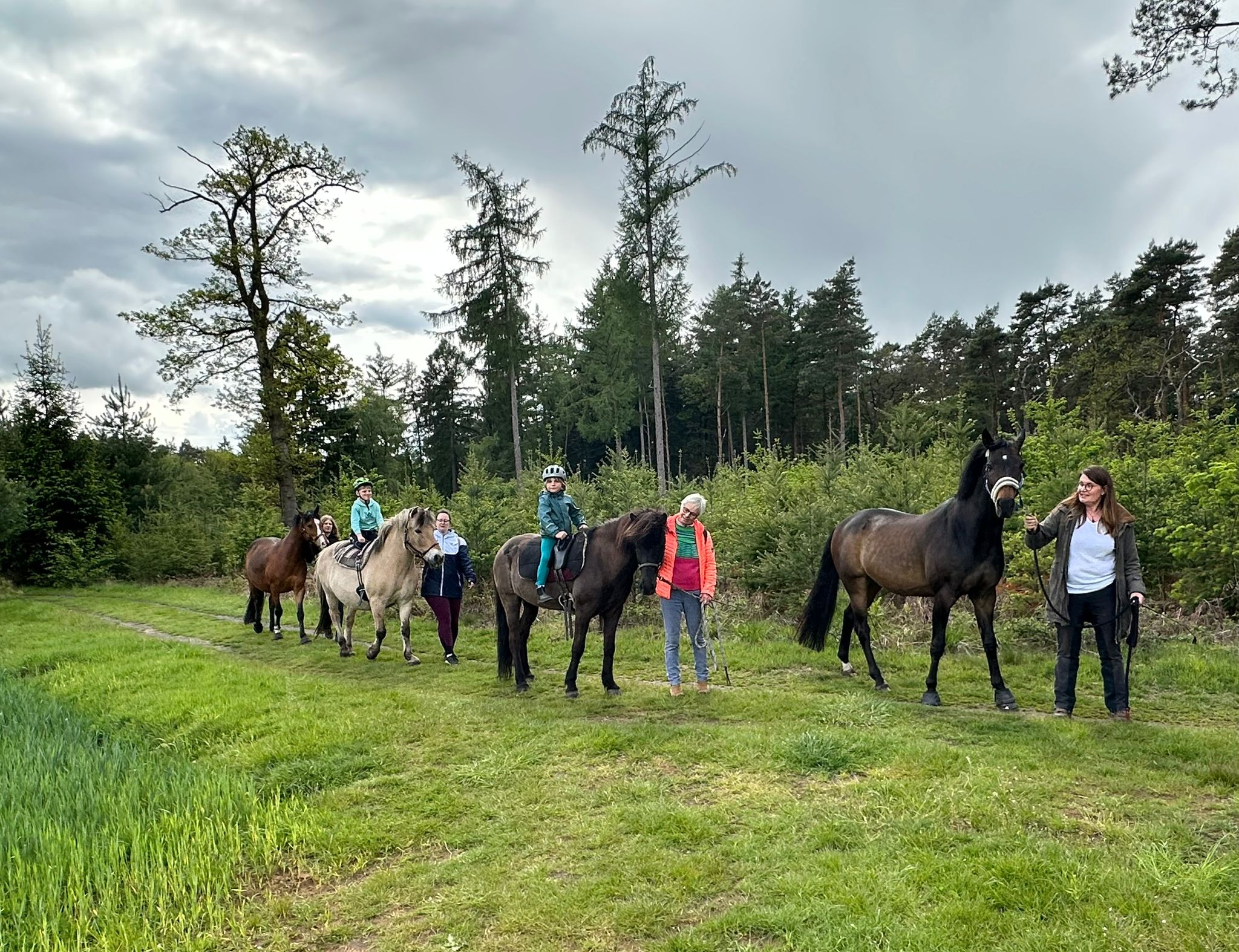 Equines Walking (-;