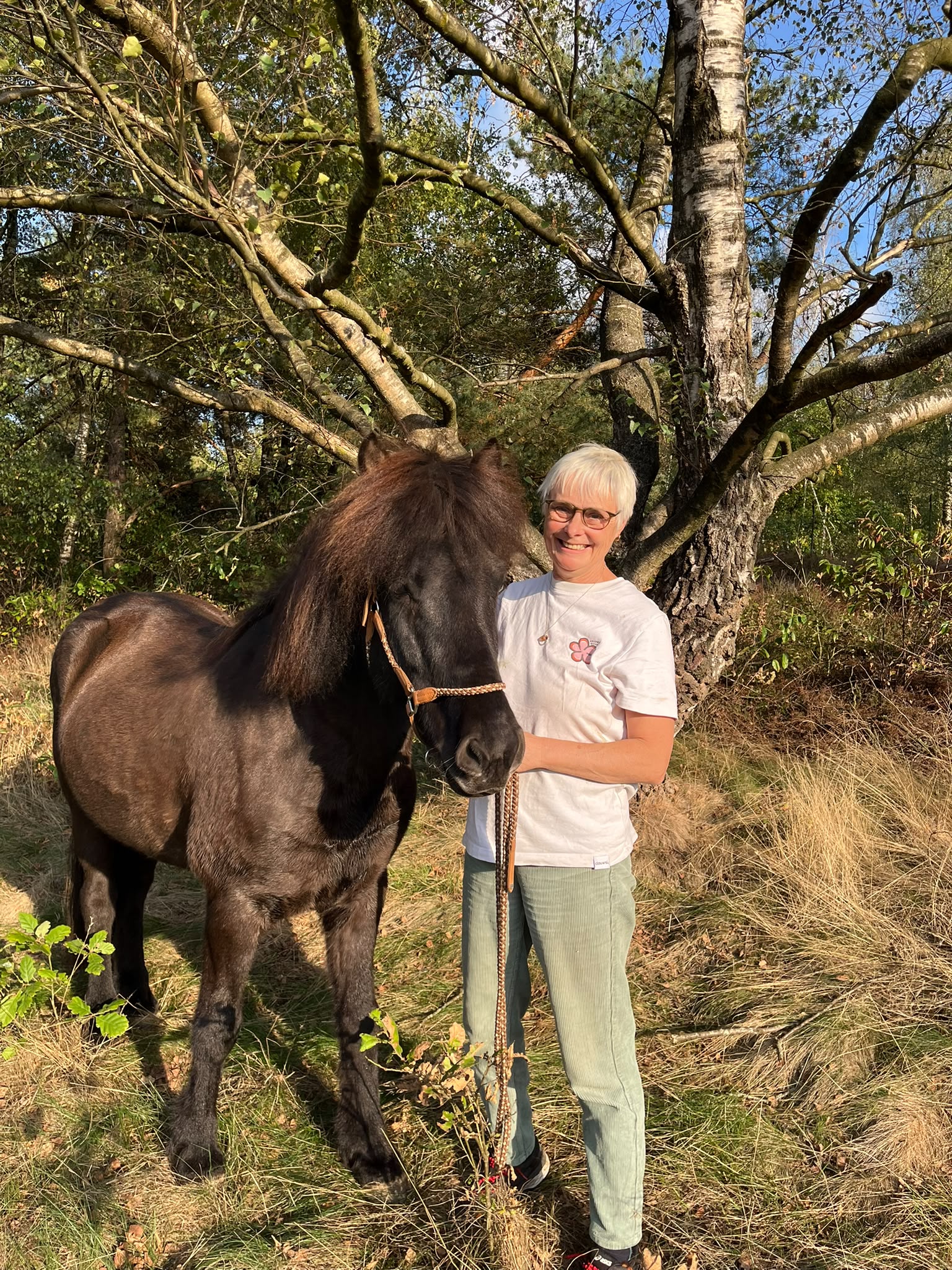 Reiturlaub in Erle