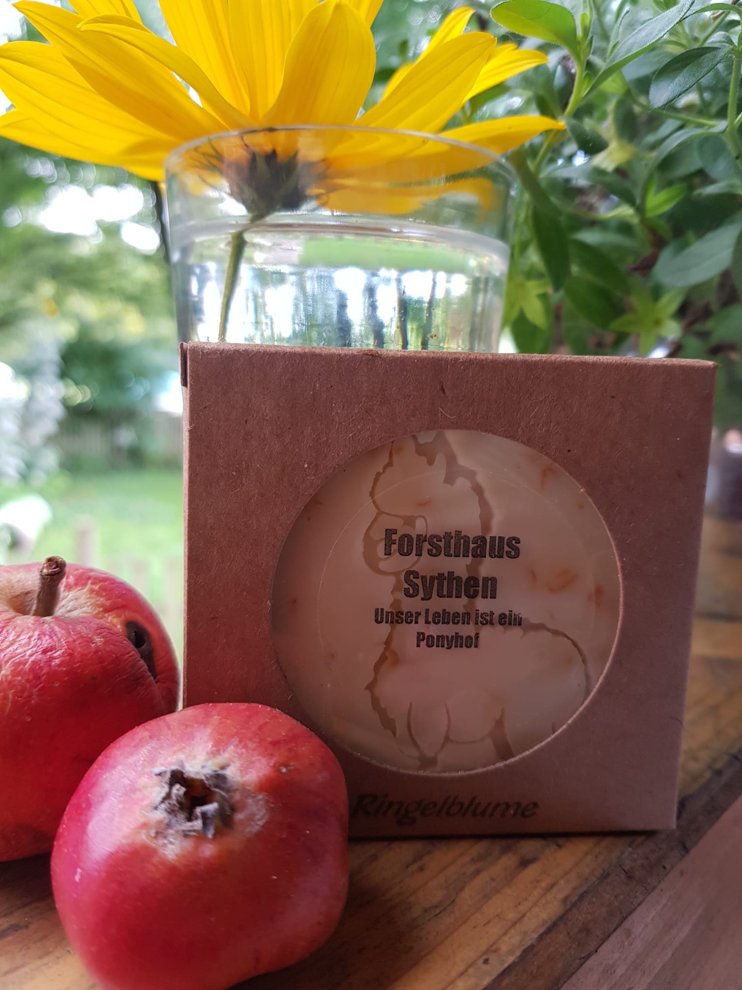Es ist wieder soweit!