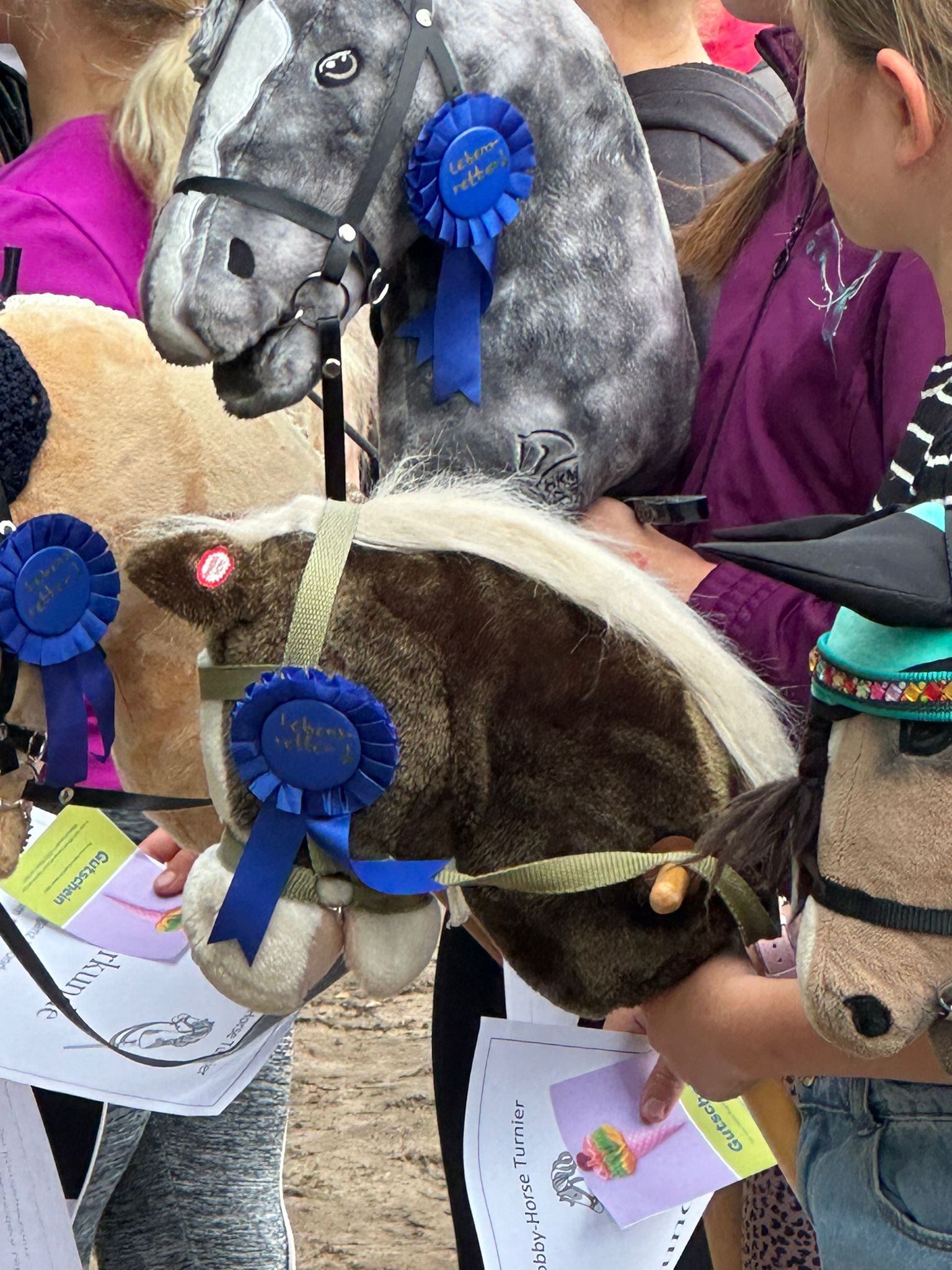 Mit Hobbyhorse Leben retten erbringt 830 Euro