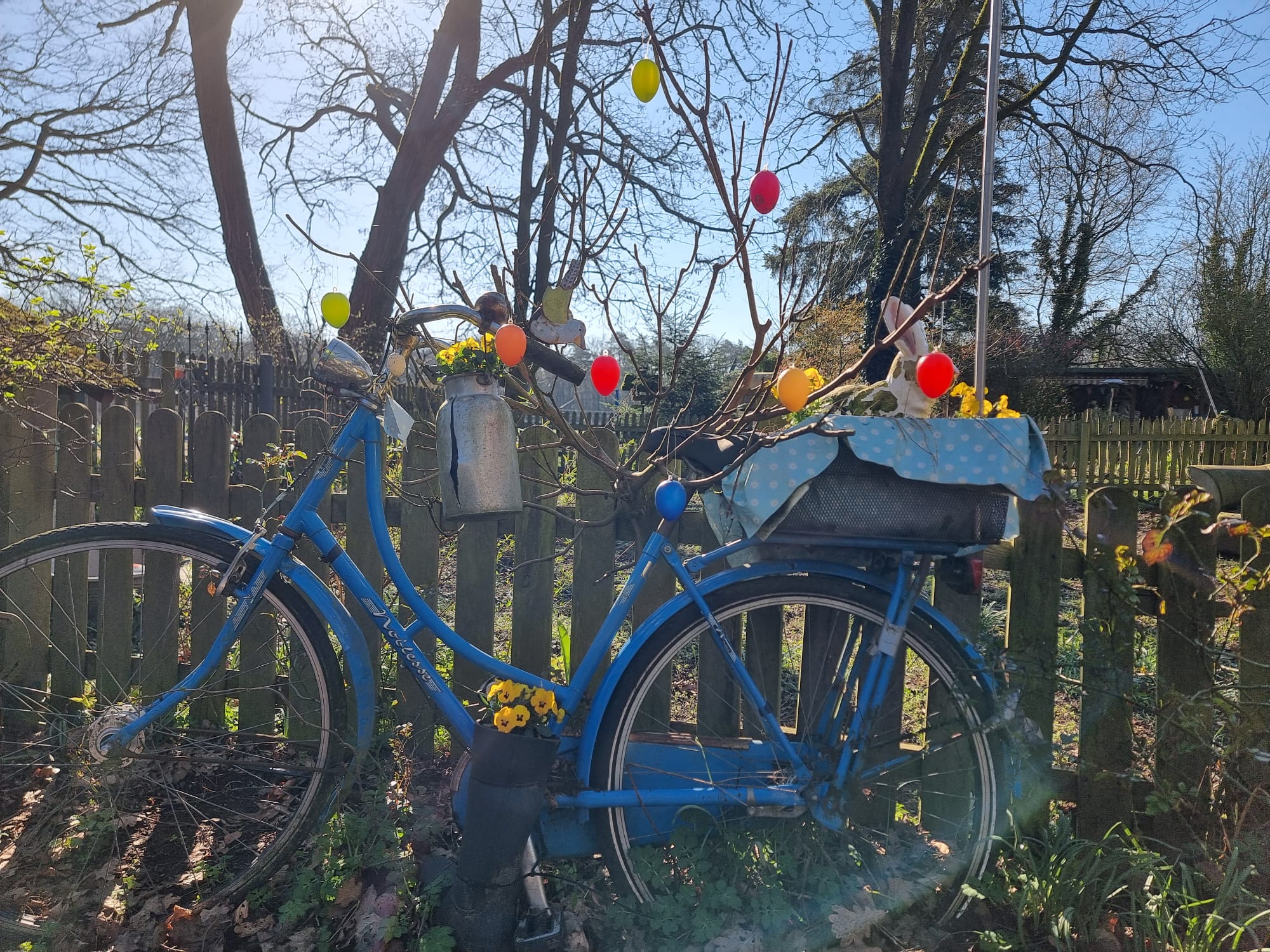 Mach mehr draus - und rette Leben