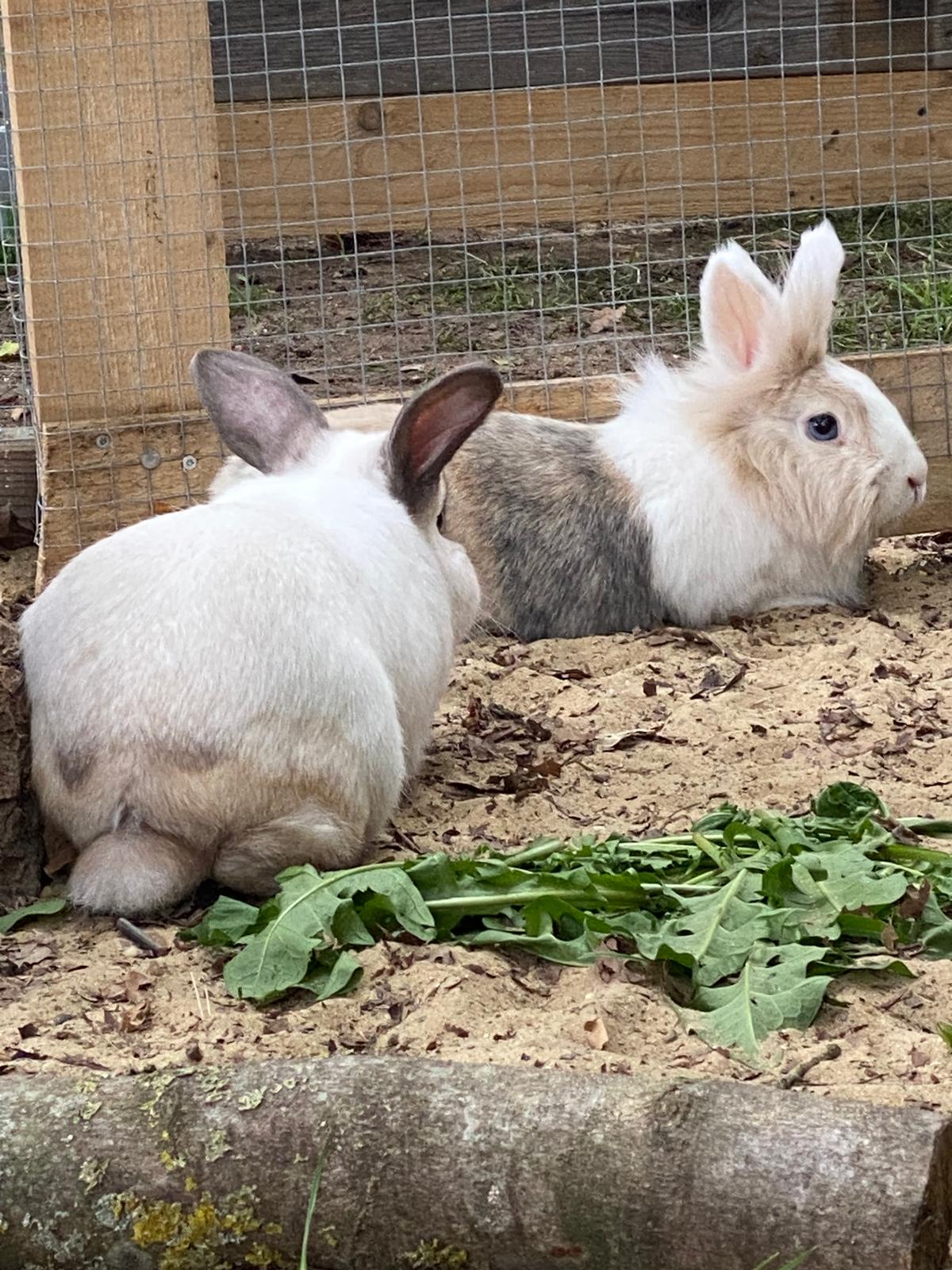 Welcome Mia, Max und Susi