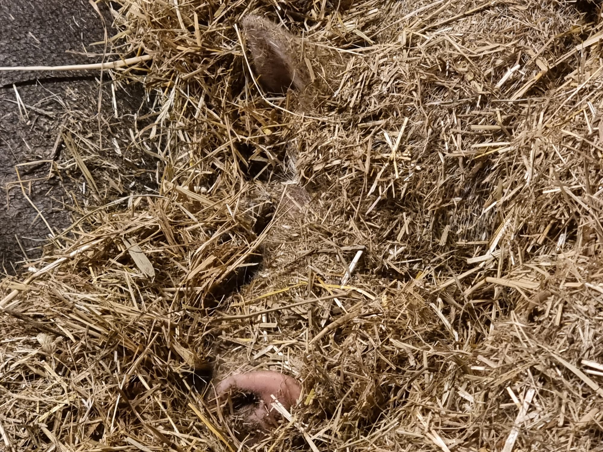 Suchbild
