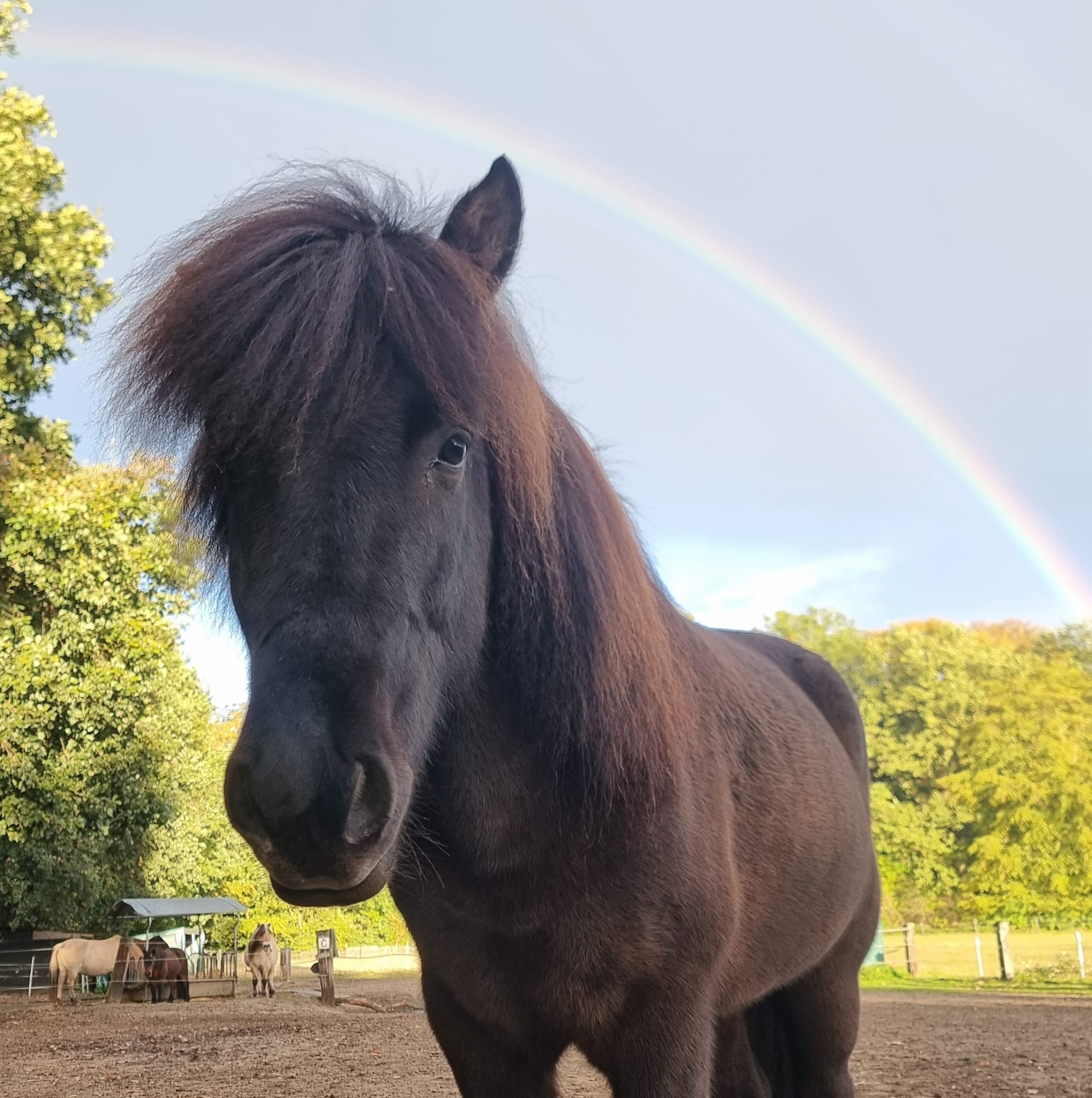 Ohne Regen keinen Regenbogen